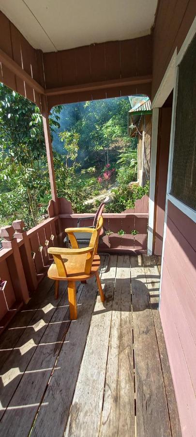 Pak Mus Guest House Ketambe - 0813-7072-1793 Kutacane 외부 사진
