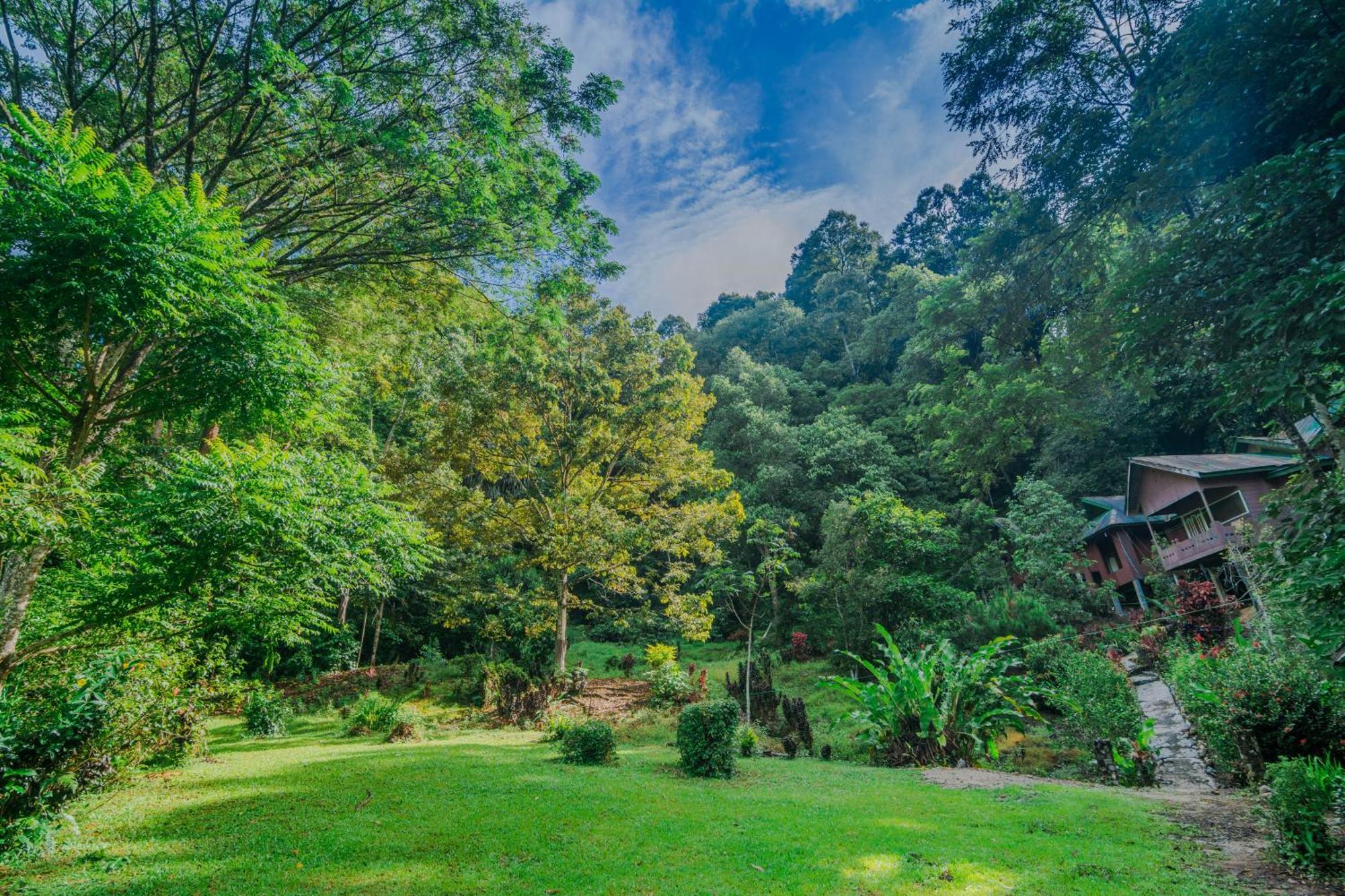Pak Mus Guest House Ketambe - 0813-7072-1793 Kutacane 외부 사진