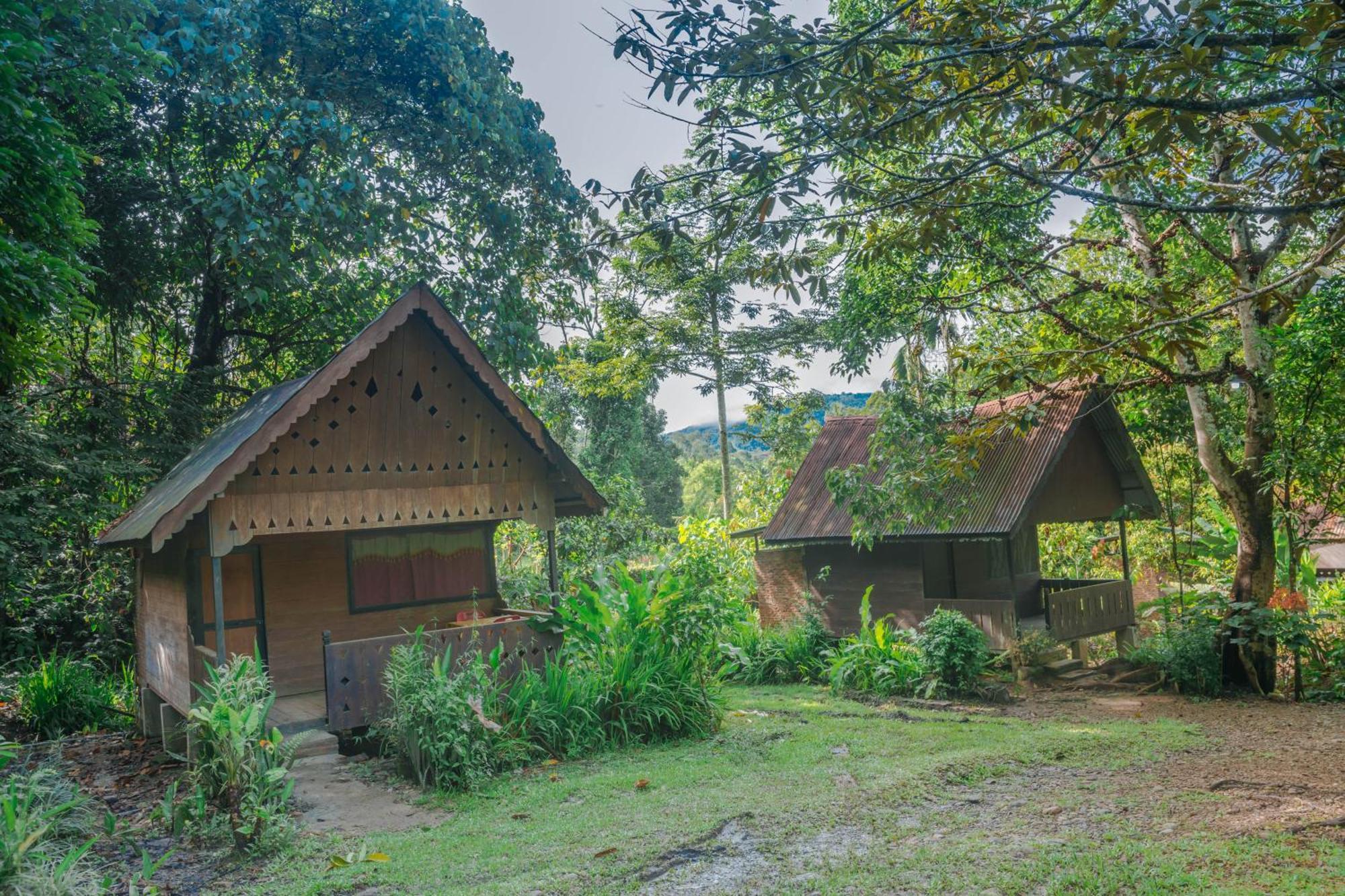 Pak Mus Guest House Ketambe - 0813-7072-1793 Kutacane 외부 사진