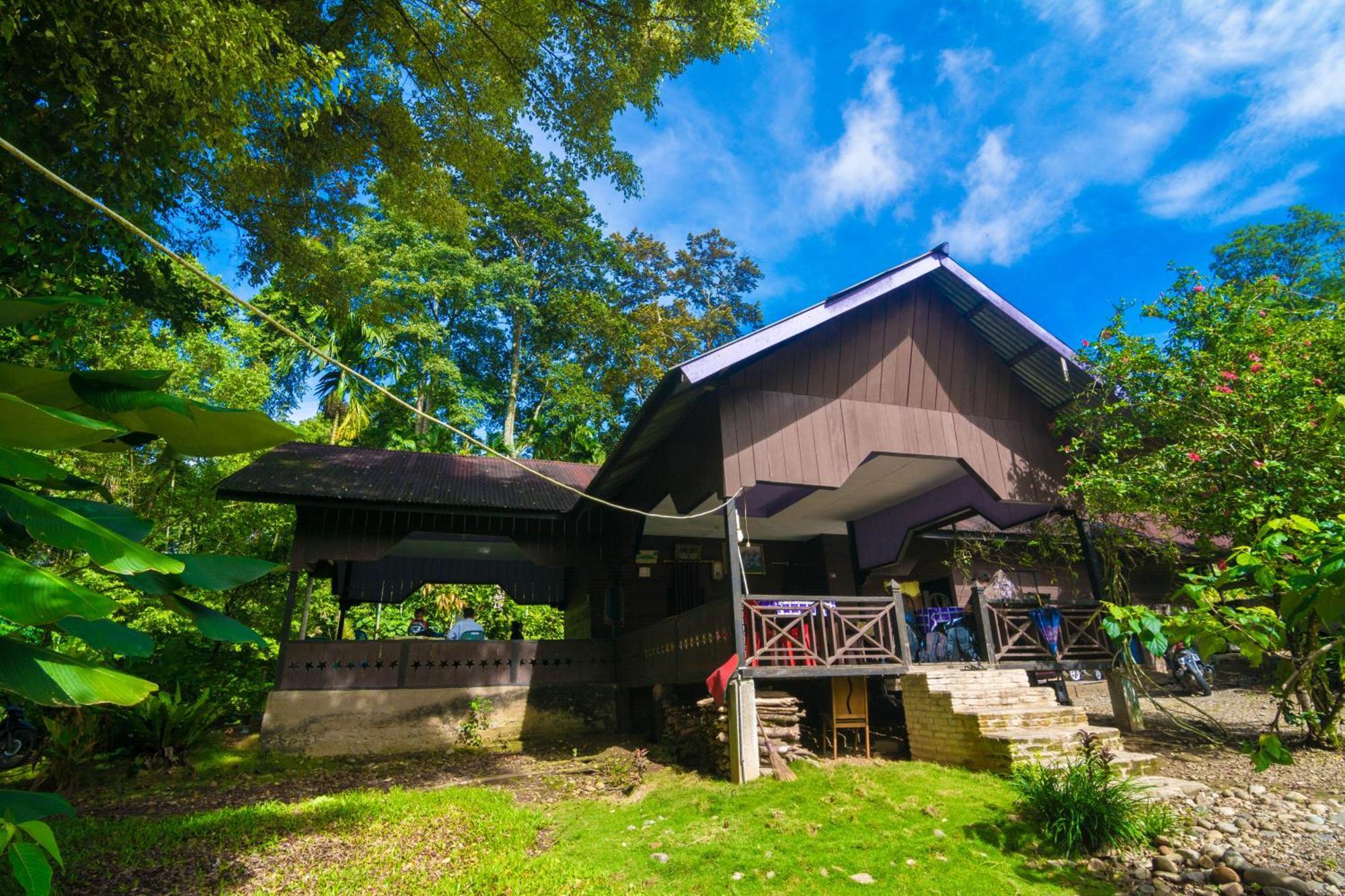 Pak Mus Guest House Ketambe - 0813-7072-1793 Kutacane 외부 사진