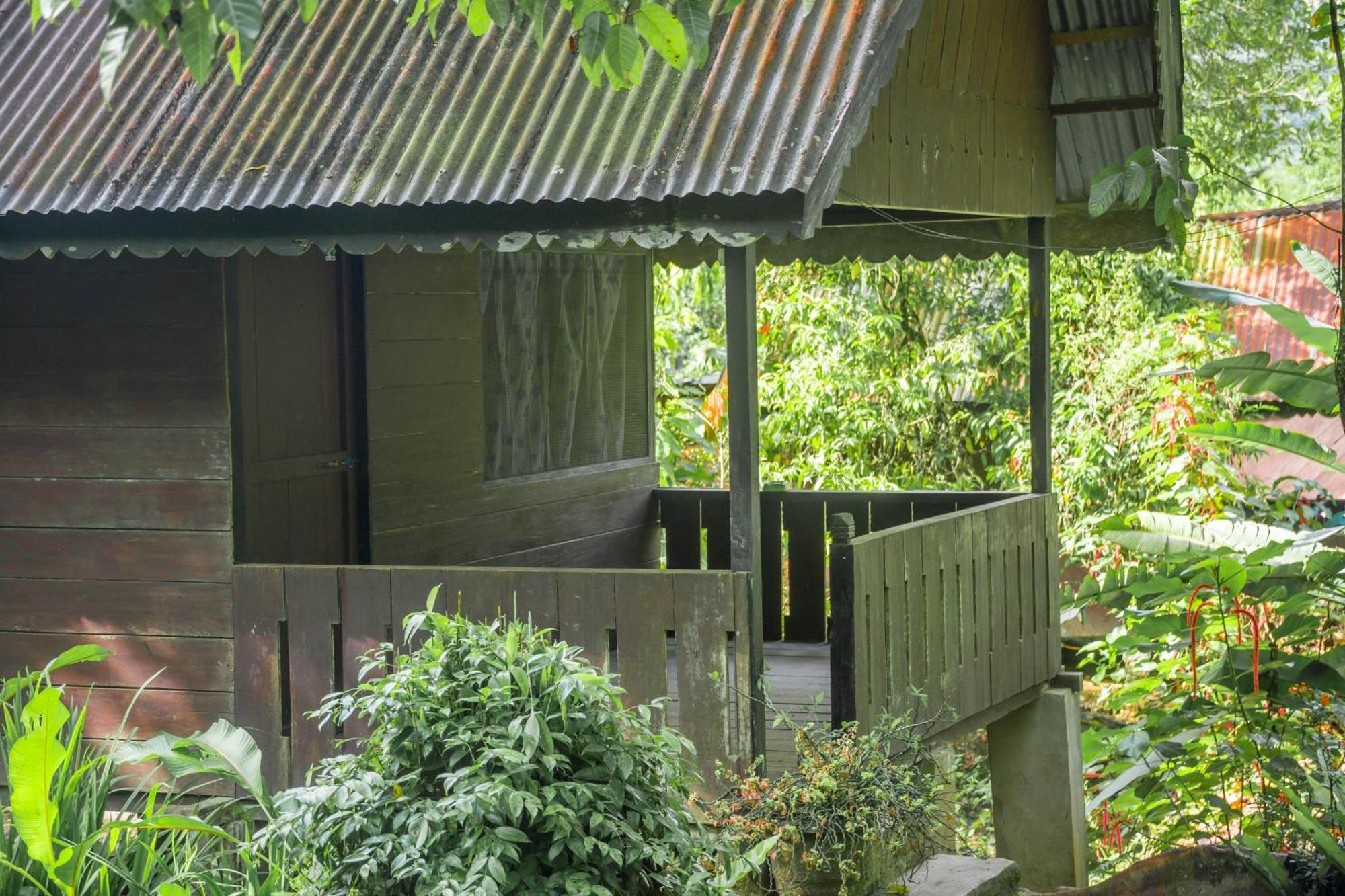 Pak Mus Guest House Ketambe - 0813-7072-1793 Kutacane 외부 사진