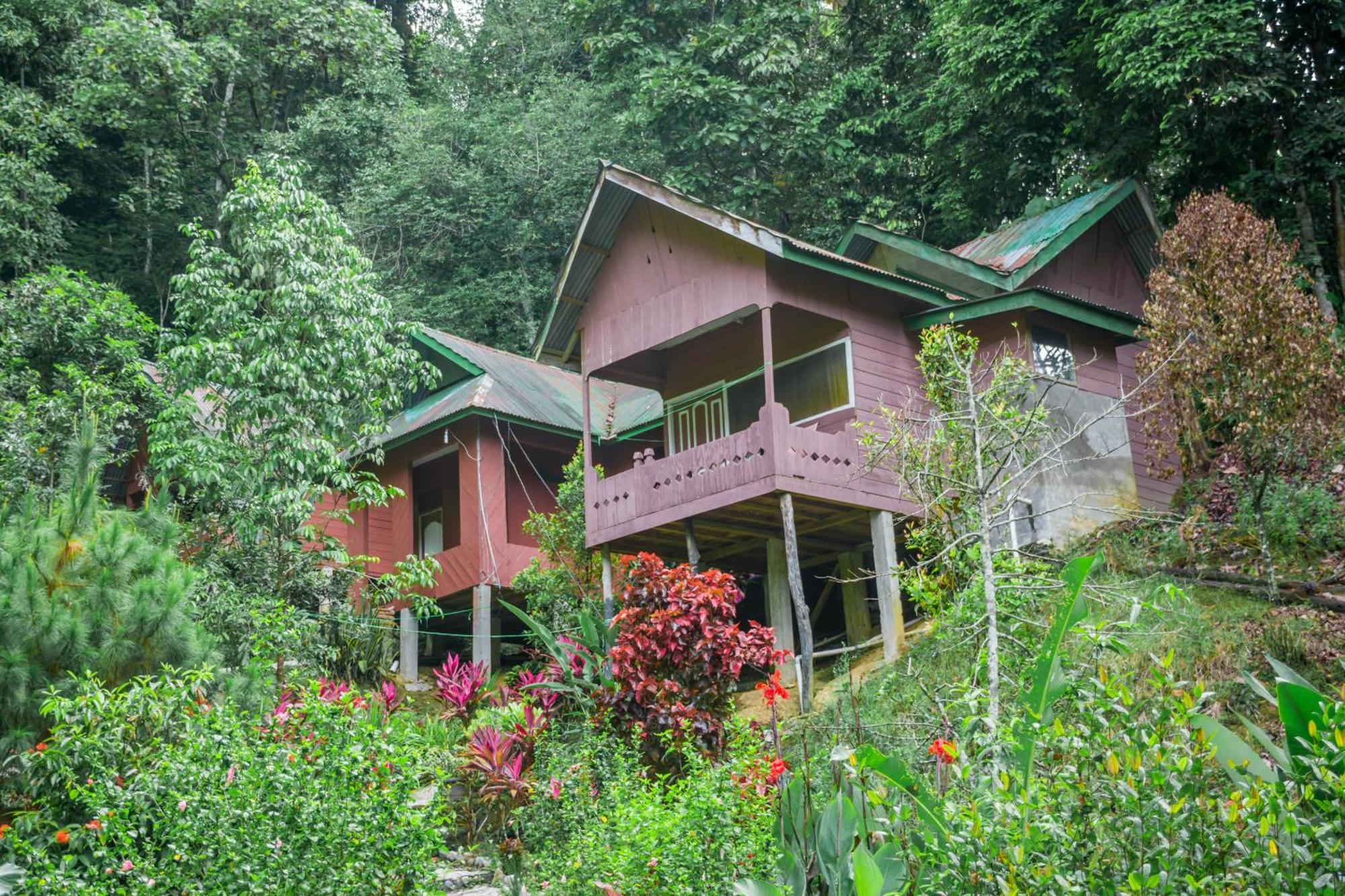 Pak Mus Guest House Ketambe - 0813-7072-1793 Kutacane 외부 사진