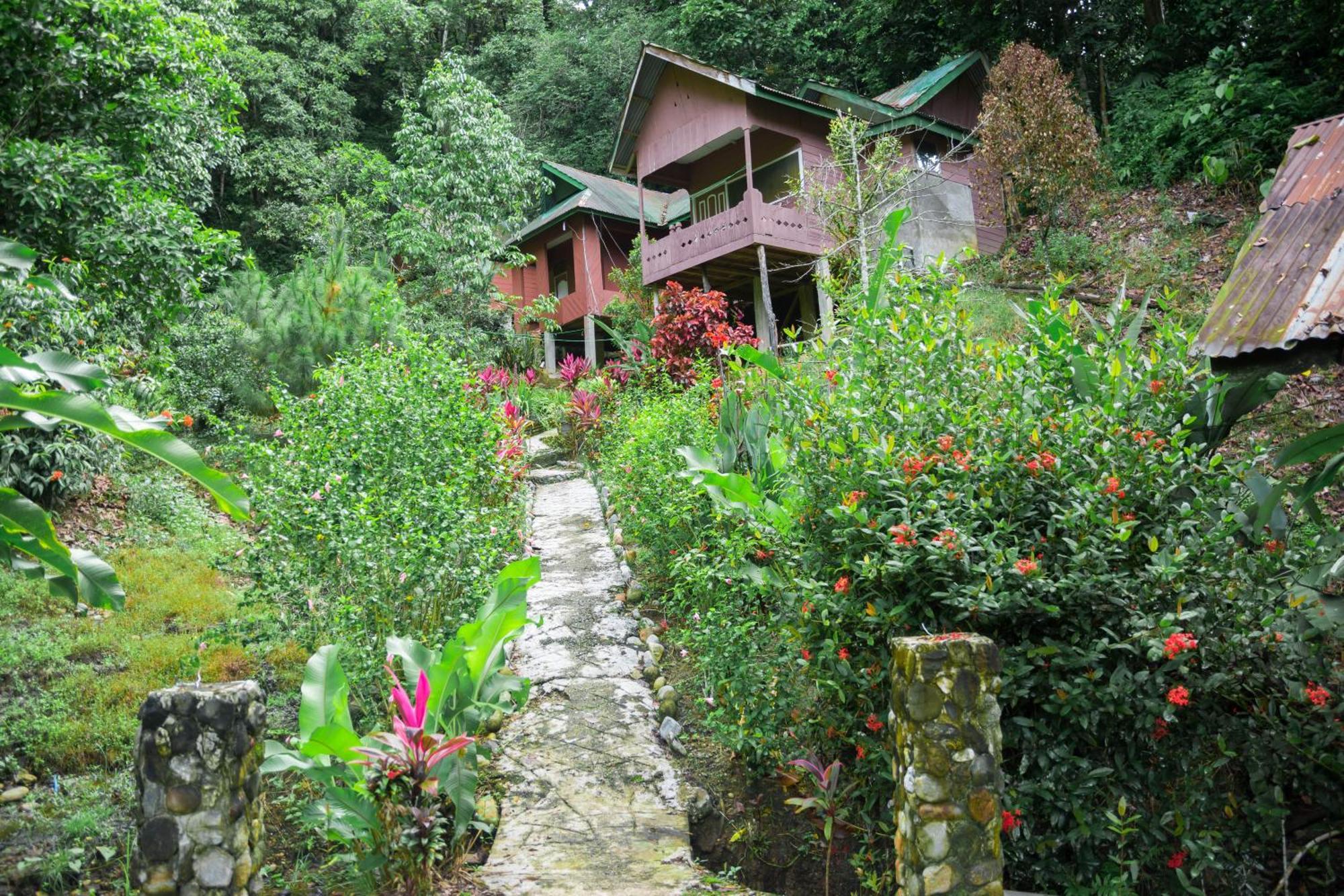 Pak Mus Guest House Ketambe - 0813-7072-1793 Kutacane 외부 사진