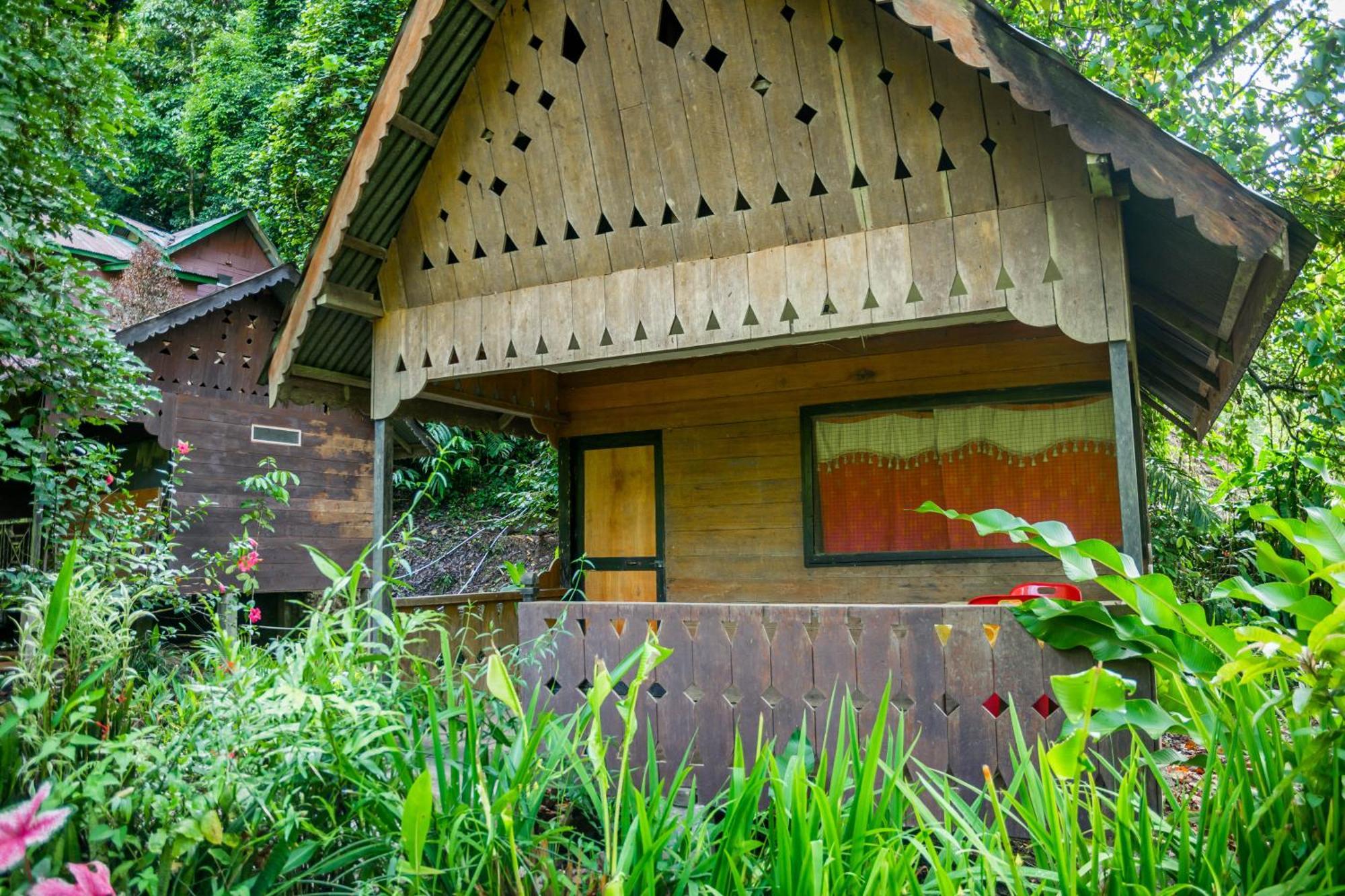 Pak Mus Guest House Ketambe - 0813-7072-1793 Kutacane 외부 사진