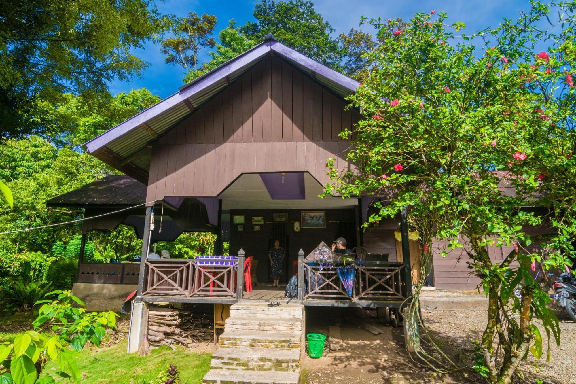 Pak Mus Guest House Ketambe - 0813-7072-1793 Kutacane 외부 사진